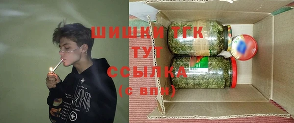 тгк Армянск