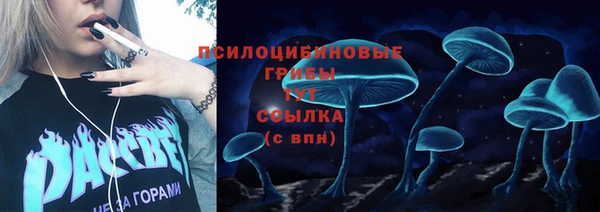 мет Арсеньев