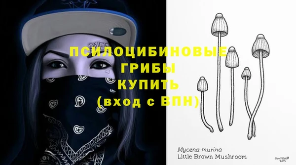 СК Аркадак
