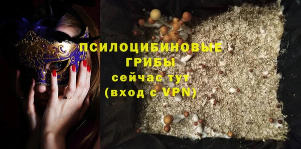 мет Арсеньев