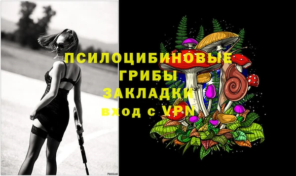 СК Аркадак