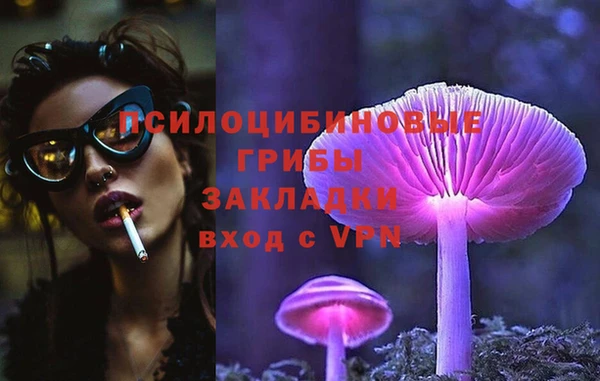 тгк Армянск