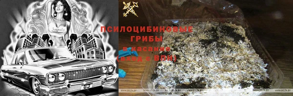 тгк Армянск