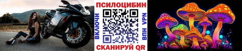 Псилоцибиновые грибы Magic Shrooms KRAKEN tor Ногинск