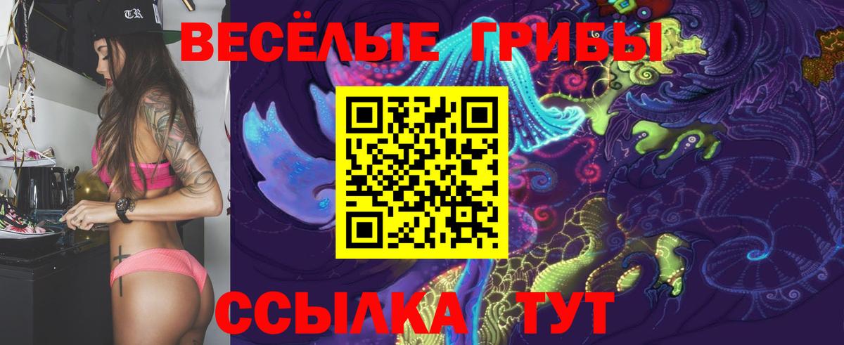 Псилоцибиновые грибы Psilocybine cubensis Ногинск