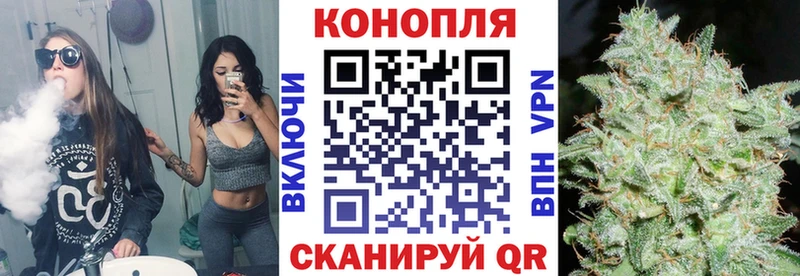 где найти наркотики  Ногинск  Конопля SATIVA & INDICA 