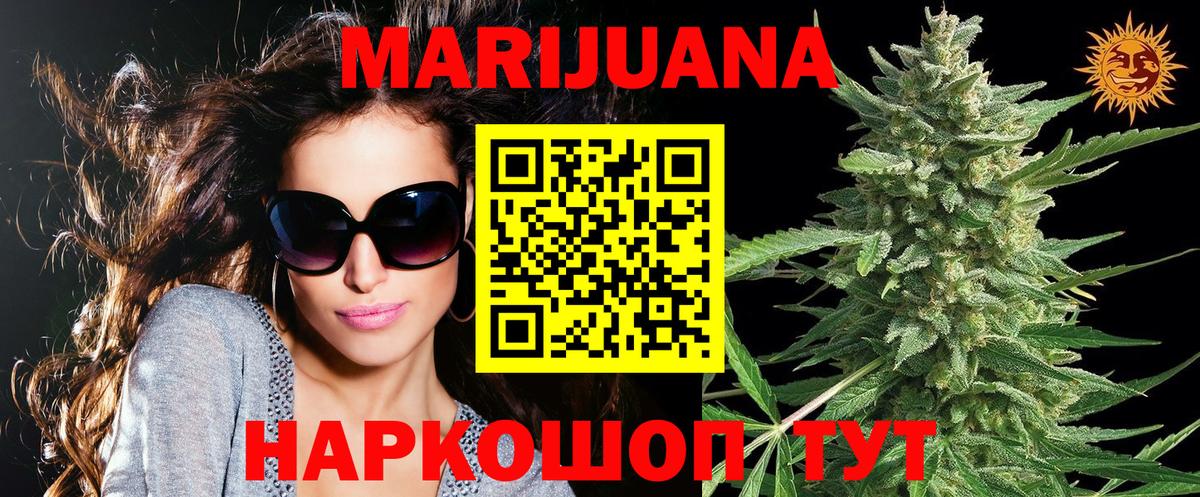 Бошки Шишки SATIVA & INDICA  Канабис семена  Вход с VPN  Ногинск  Каннабис планчик 